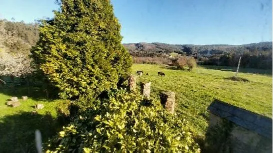Muiñeiras de Requiande campo verde