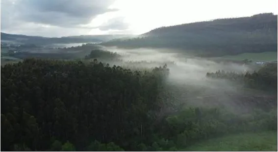 Muiñeiras de Requiande paisaje