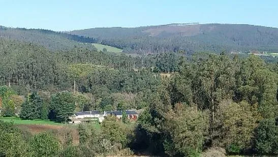 Muiñeiras de Requiande campo verde