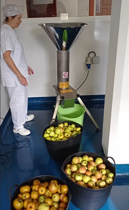 Muiñeiras de Requiande empleada